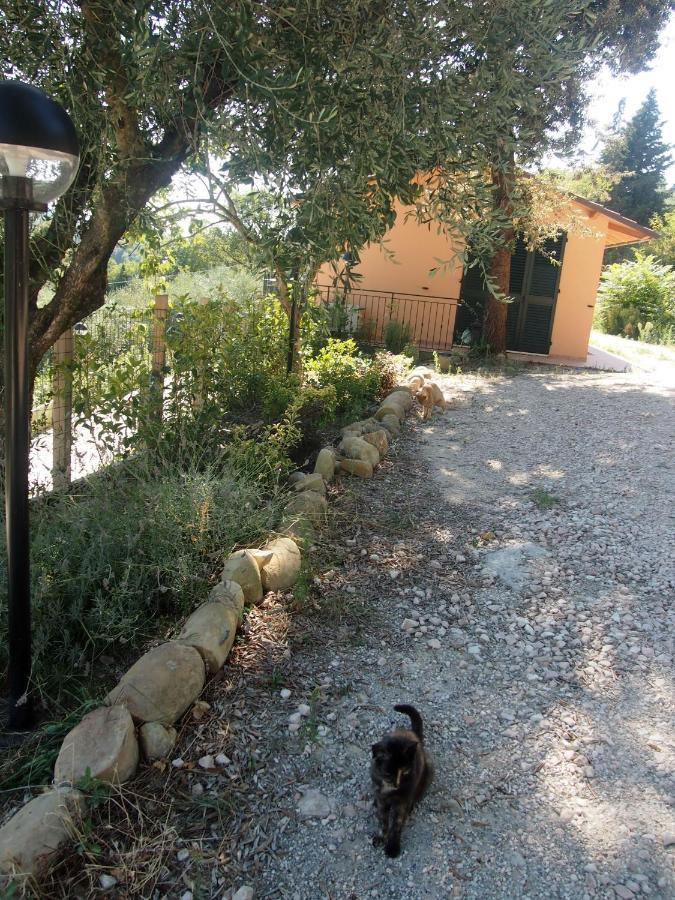 Agriturismo Ardizio 43 بيزارو المظهر الخارجي الصورة