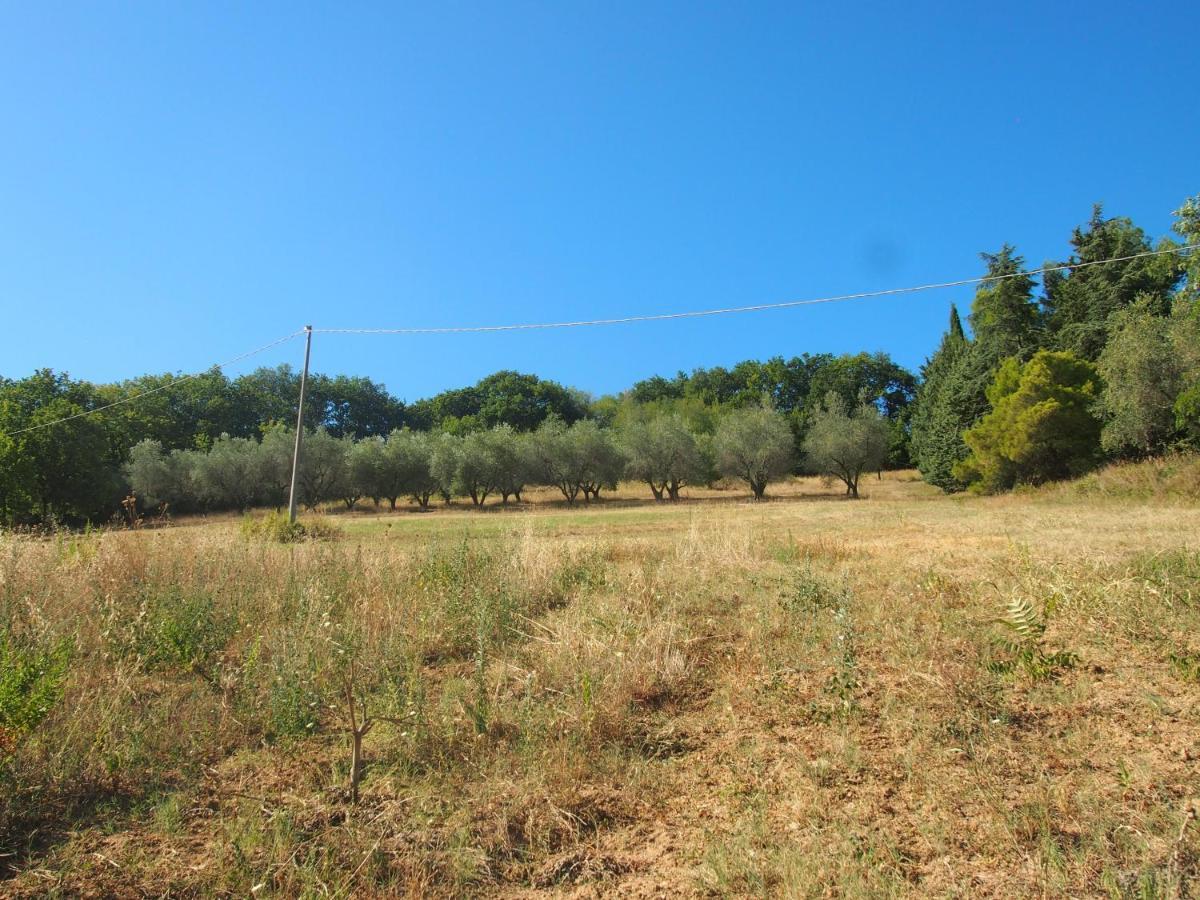 Agriturismo Ardizio 43 بيزارو المظهر الخارجي الصورة