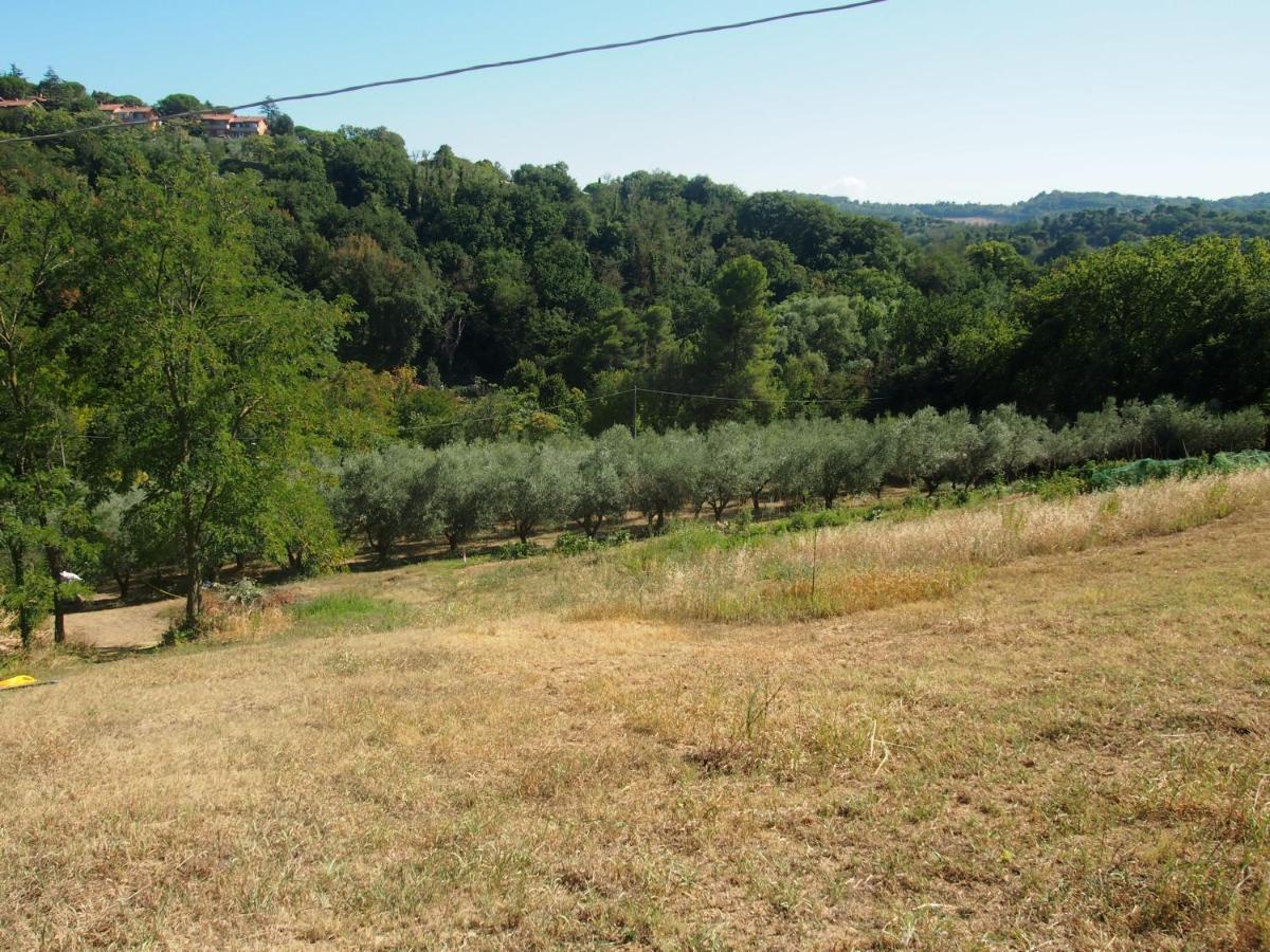Agriturismo Ardizio 43 بيزارو المظهر الخارجي الصورة